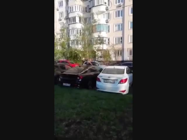 Лиса в Марьино