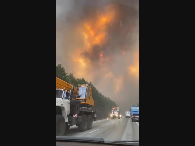 Лесной пожар на Урале