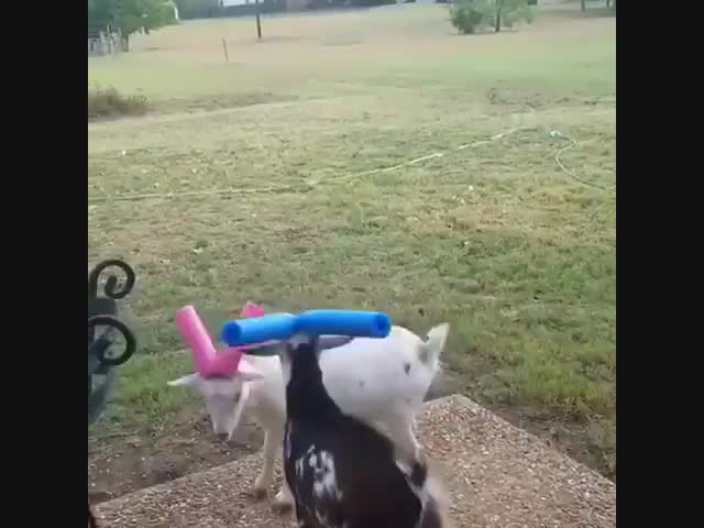 Не развлечения для