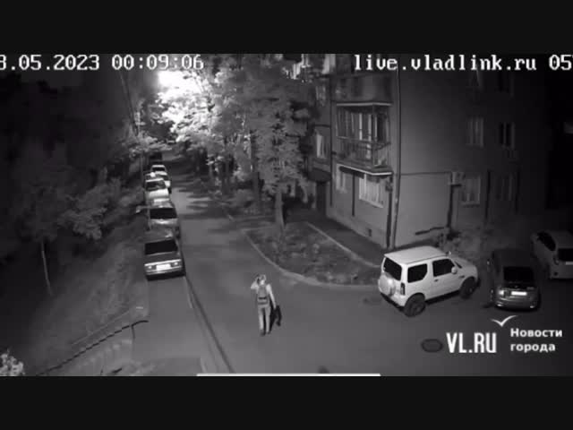 Во Владивостоке, отбиваясь от хулиганов, мужчина случайно разбил окно припаркованной машины