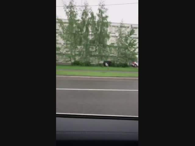 Сегодня в Москве