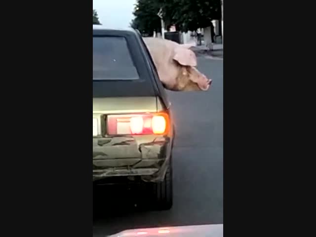 Где-то в России