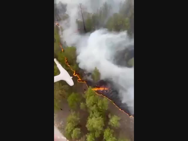 Лесные пожары из Казахстана угрожают России