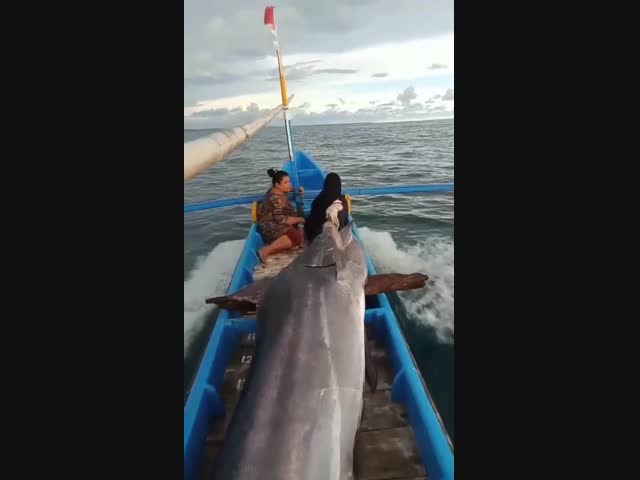 Домой с рыбалки