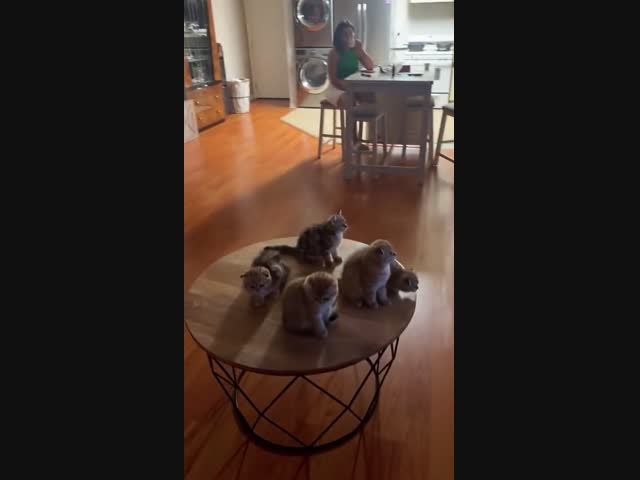 Мультик перед сном