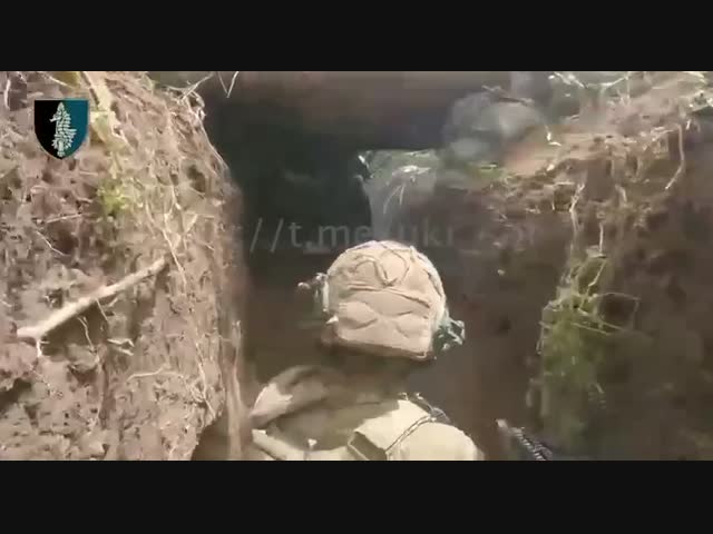 Лики смерти 