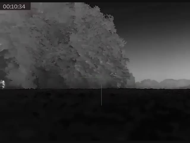 Лики смерти