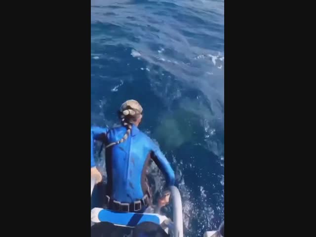 Вовремя заметила опасность…