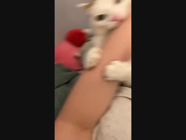 Когда ты бодр и игрив, но поймал приход кризиса среднего возраста