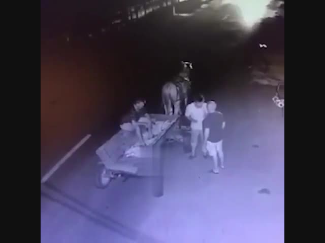 Нашли, где устроить тусовку