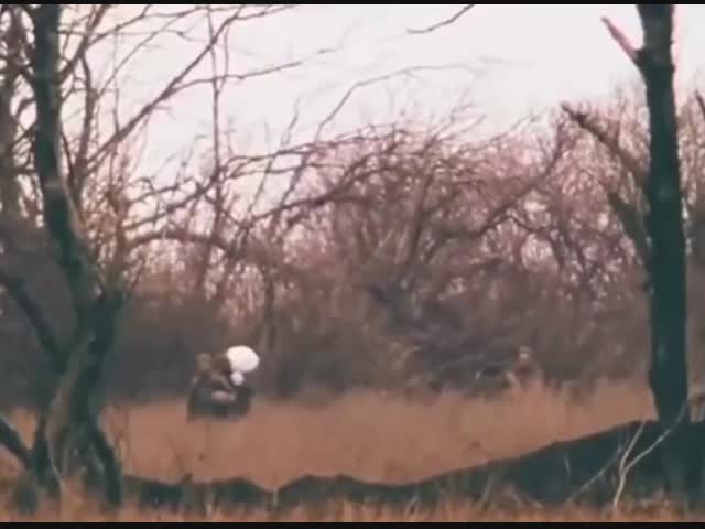 Точное попадание снайперской пули в голову