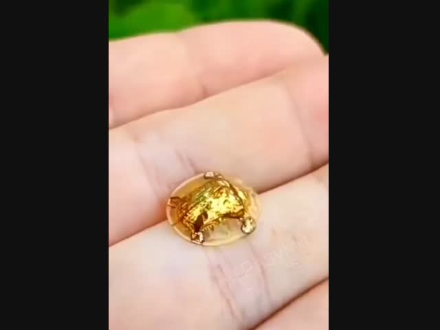 Нет никакой 