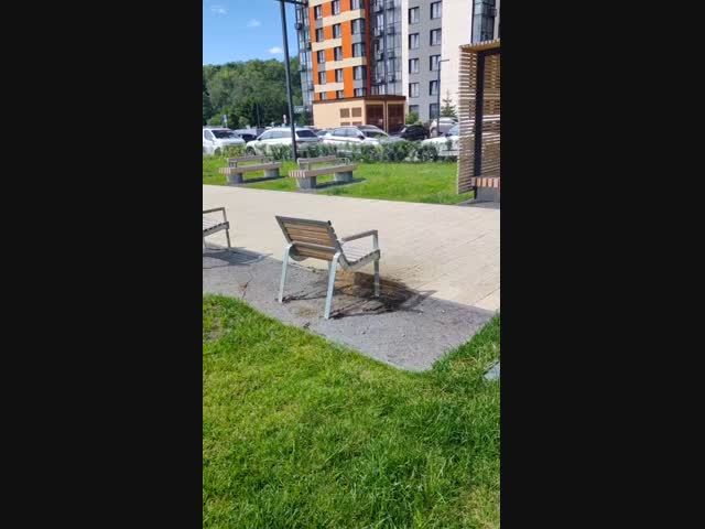 Полтергейст!?