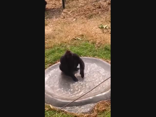 Для счастья надо немного 