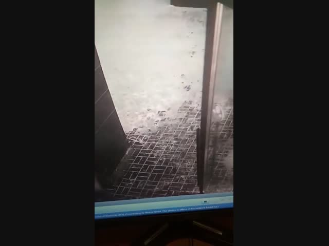 До зимы осталось всего 3 месяца 