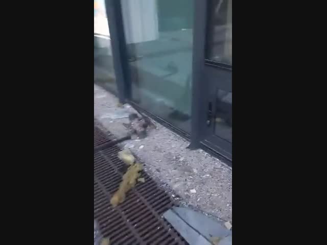 Пишут, что это якобы двигатель беспилотника 