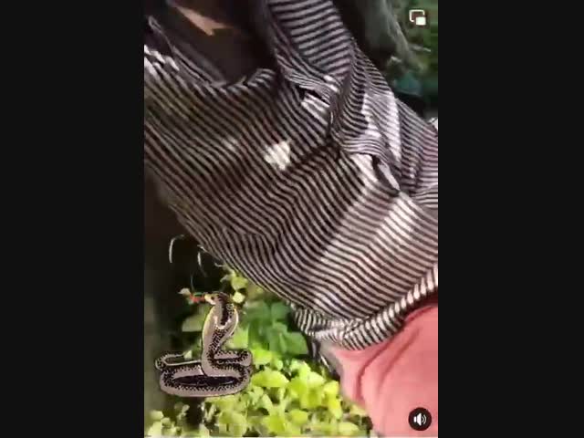 Как найти нового друга