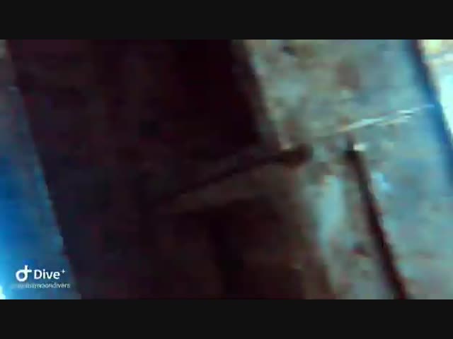 Затопленный самолет со скелетом лётчика