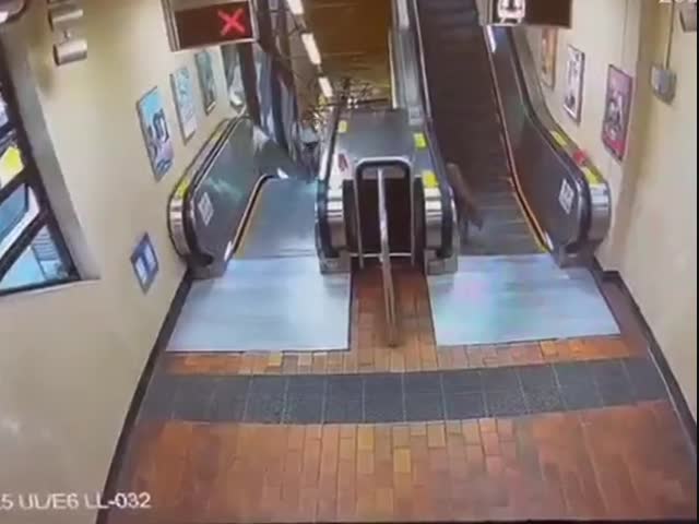 Кабанчик заблудился в метро