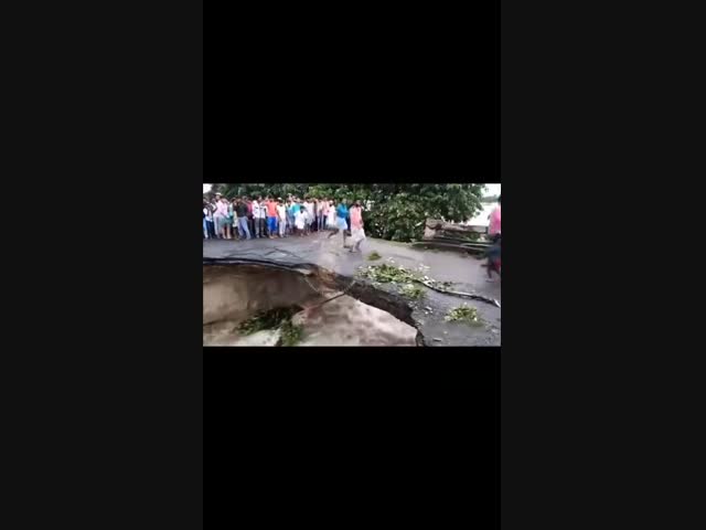 Случай в Индии