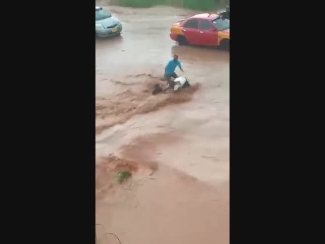 Хороший улов