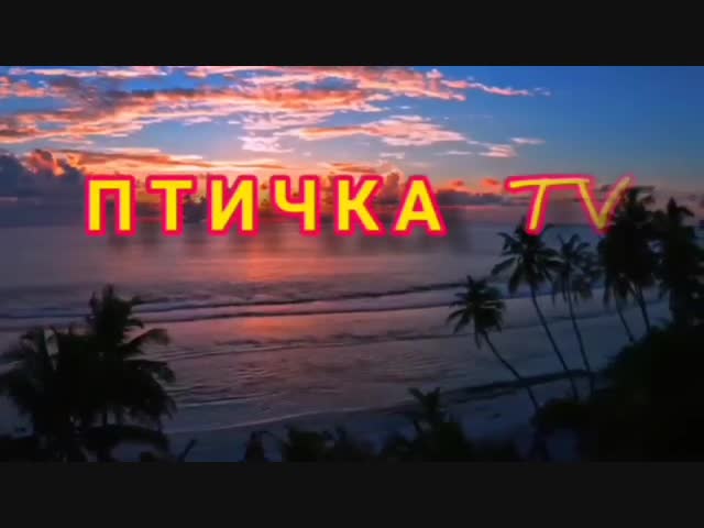 Скрывали свои фамилии! Настоящие имена и фамилии российских звёзд