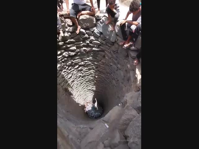 Увлекательные развлечения