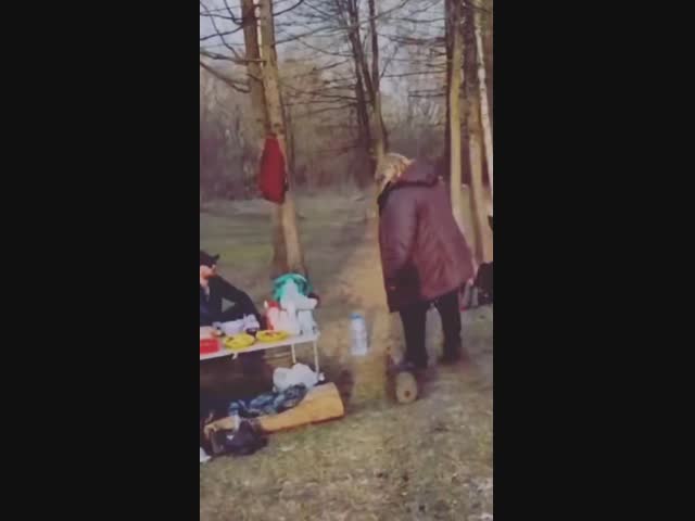 Не очень удачный пикник