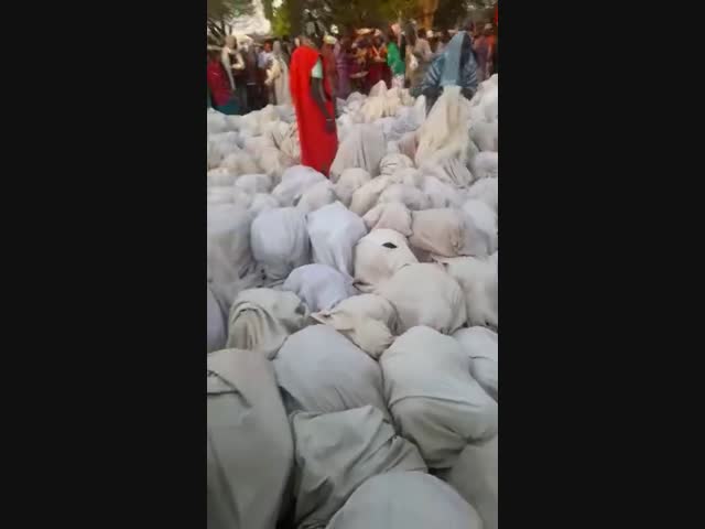 Не могу понять, кто в мешках