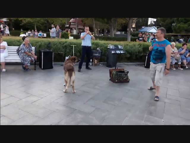 Печальная история