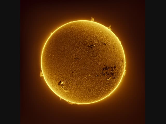 Правда, похоже на яйцеклетку?