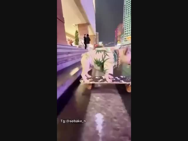 Гениальный московский собакен