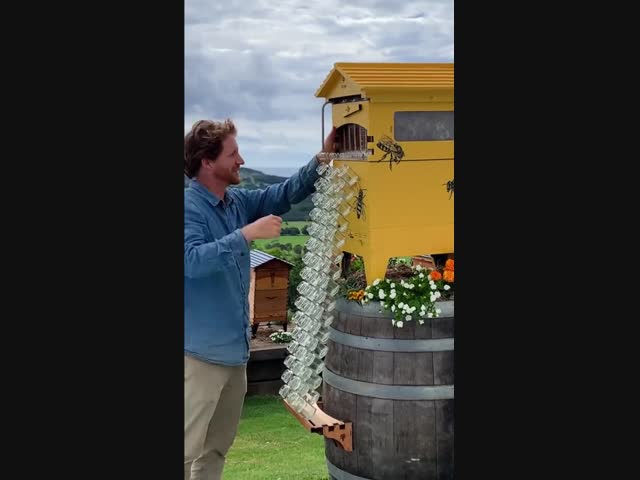 Улей, который не нужно открывать, чтобы извлечь мед