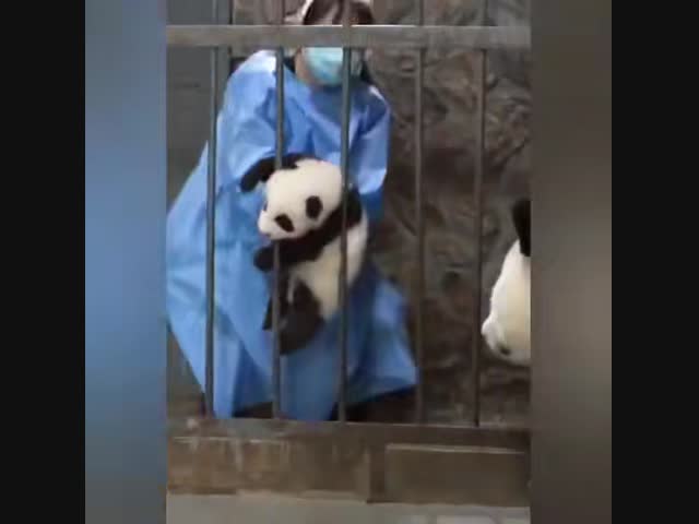 Встреча после разлуки