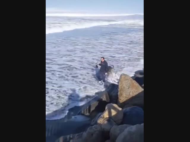 Утренняя прогулка с собакой