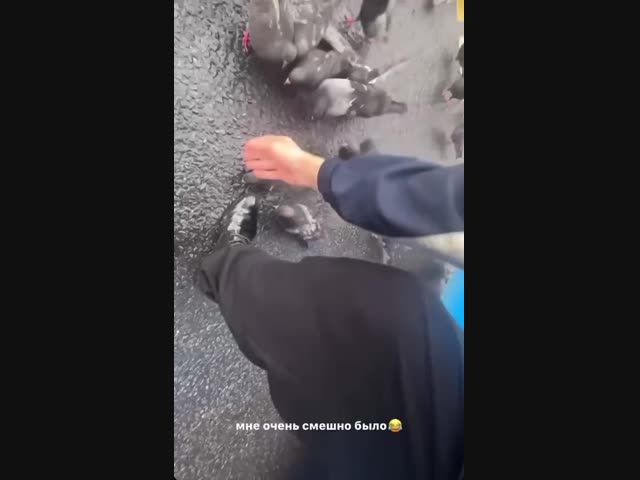 Как вам шутка?