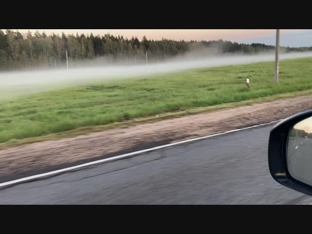 Туман в Подмосковье