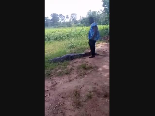 Интересно, чем всё закончится...