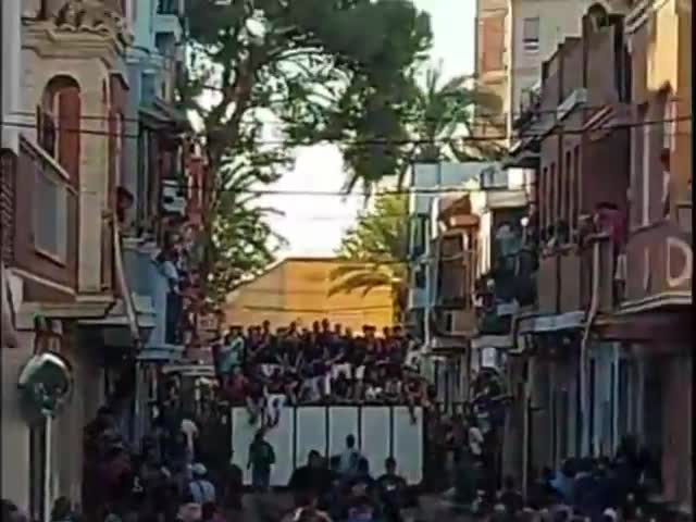 Бык против человека