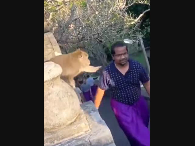 Успешные переговоры