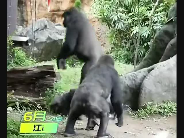 Без обид, братан!