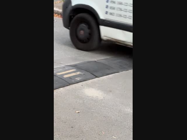 Умная птичка