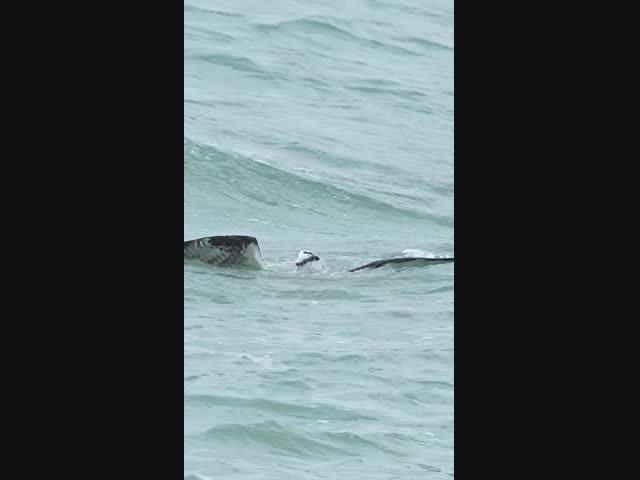 Завтрак для семьи