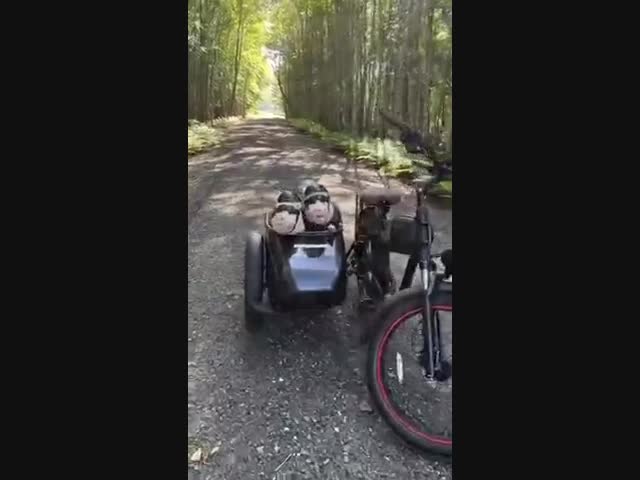 Лучшие попутчики