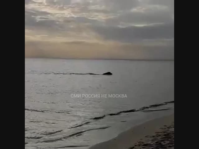 В Крыму высадился десант