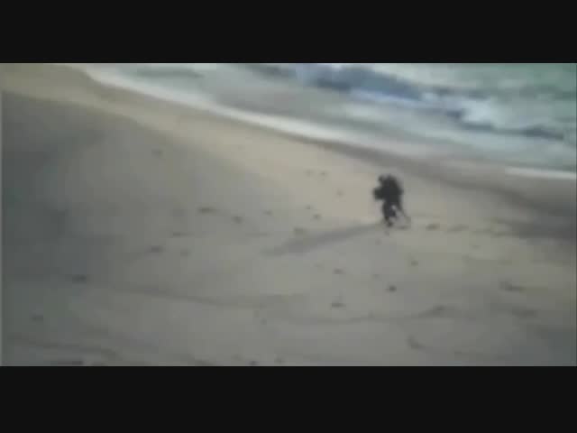 Началась новая израильско-палестинская война