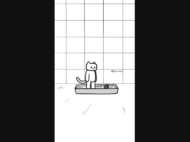 Мой кот и невыполнимая задача