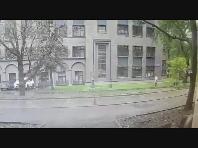 На Рощинской улице в Москве на женщину упало дерево