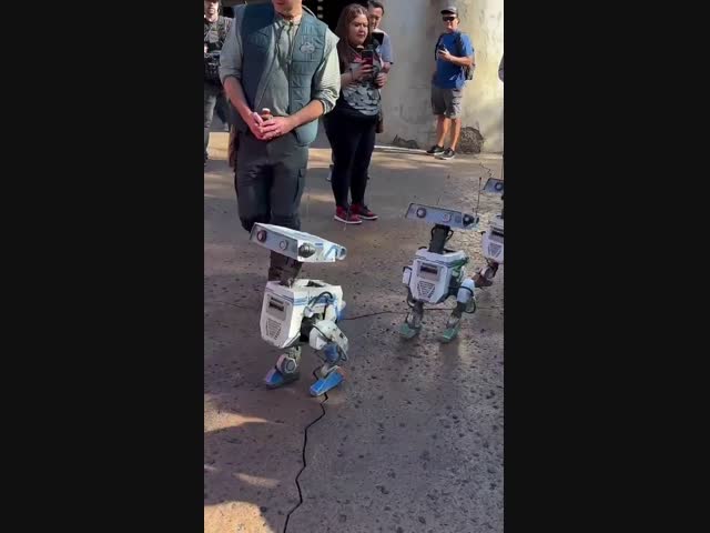 Дроиды BD-1 в Диснейленде 