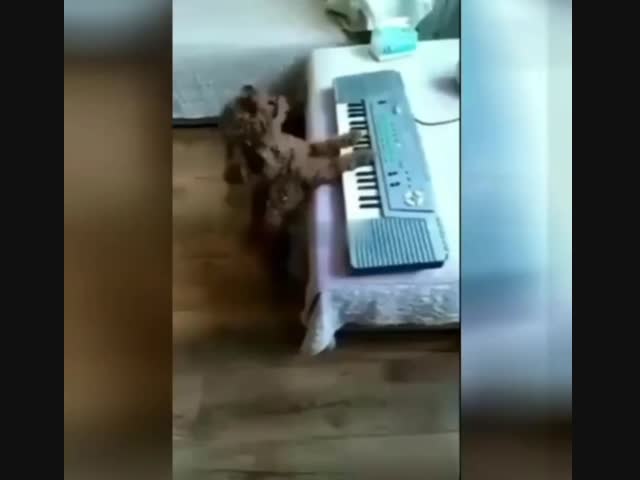 Гениальный певец